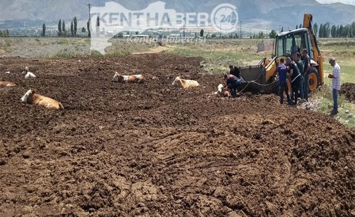 Erzincan merkeze bağlı Beş