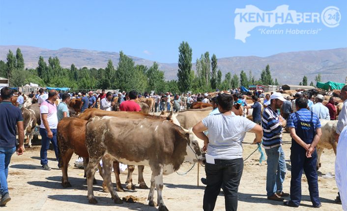 Yaklaşan Kurban Bayramı öncesi