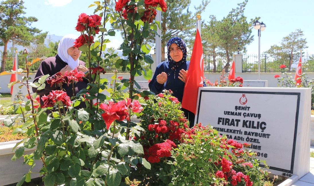 Van’ın Gürpınar İlçesi’nde terör