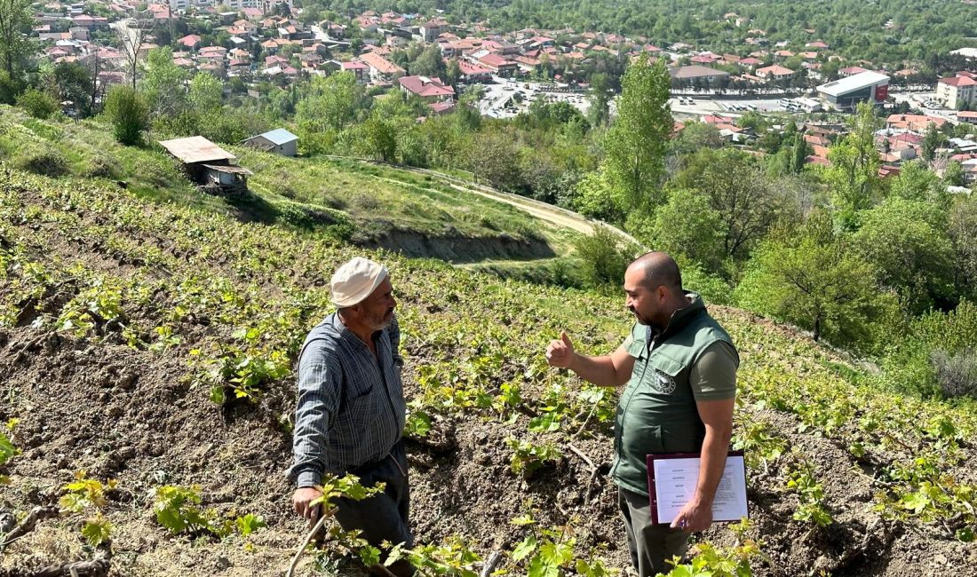 Erzincan’da tarım sezonunun başlamasıyla