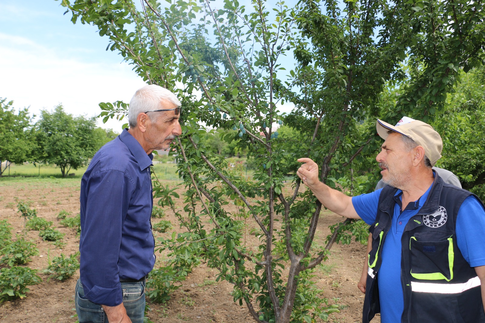 Erzincan’da tarımsal alanlar kontrol altında