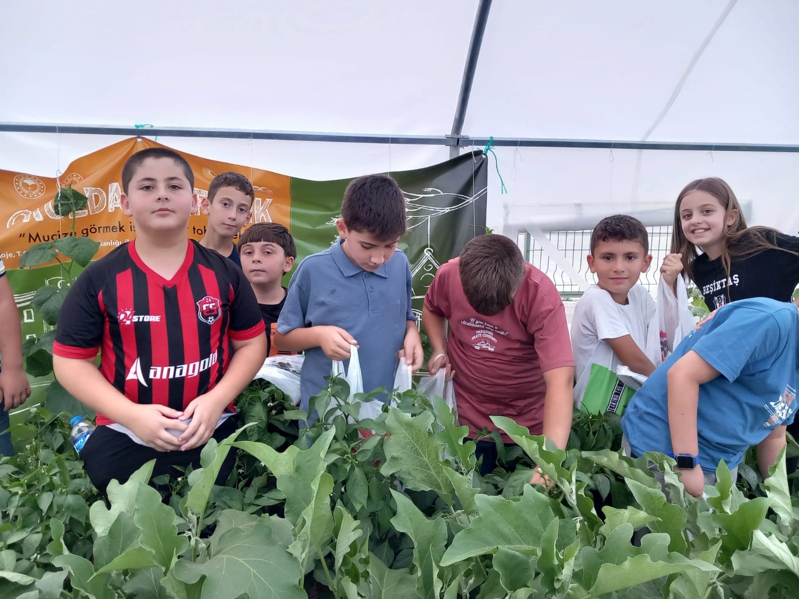 Erzincan’da “Okuldaki Çiftlik” üretime başladı