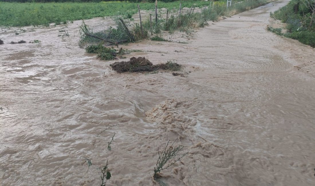 Erzincan’da etkili olan sağanak yağış Çağlayan beldesinde sele dönüştü
