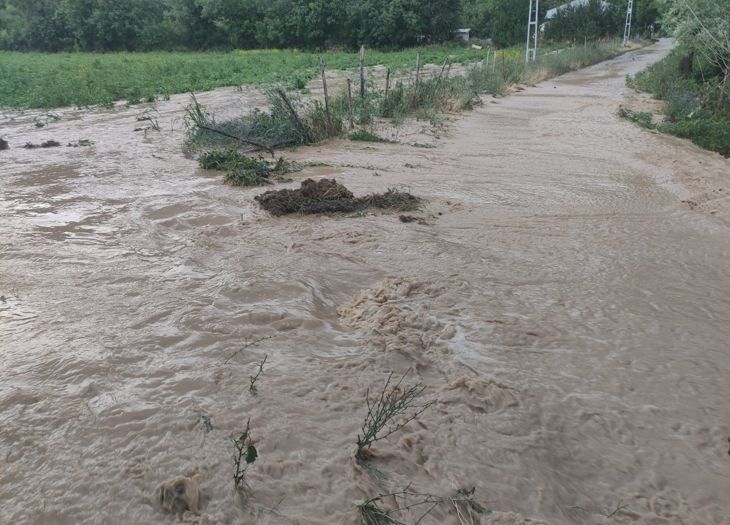 Erzincan’da etkili olan sağanak yağış Çağlayan beldesinde sele dönüştü