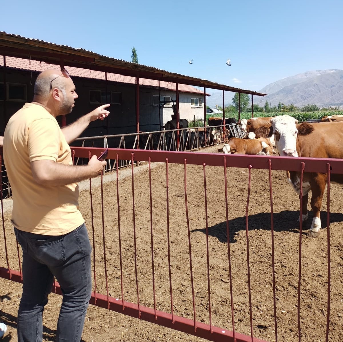 Erzincan’da Hayvancılık İşletmelerine Sağlık Taraması