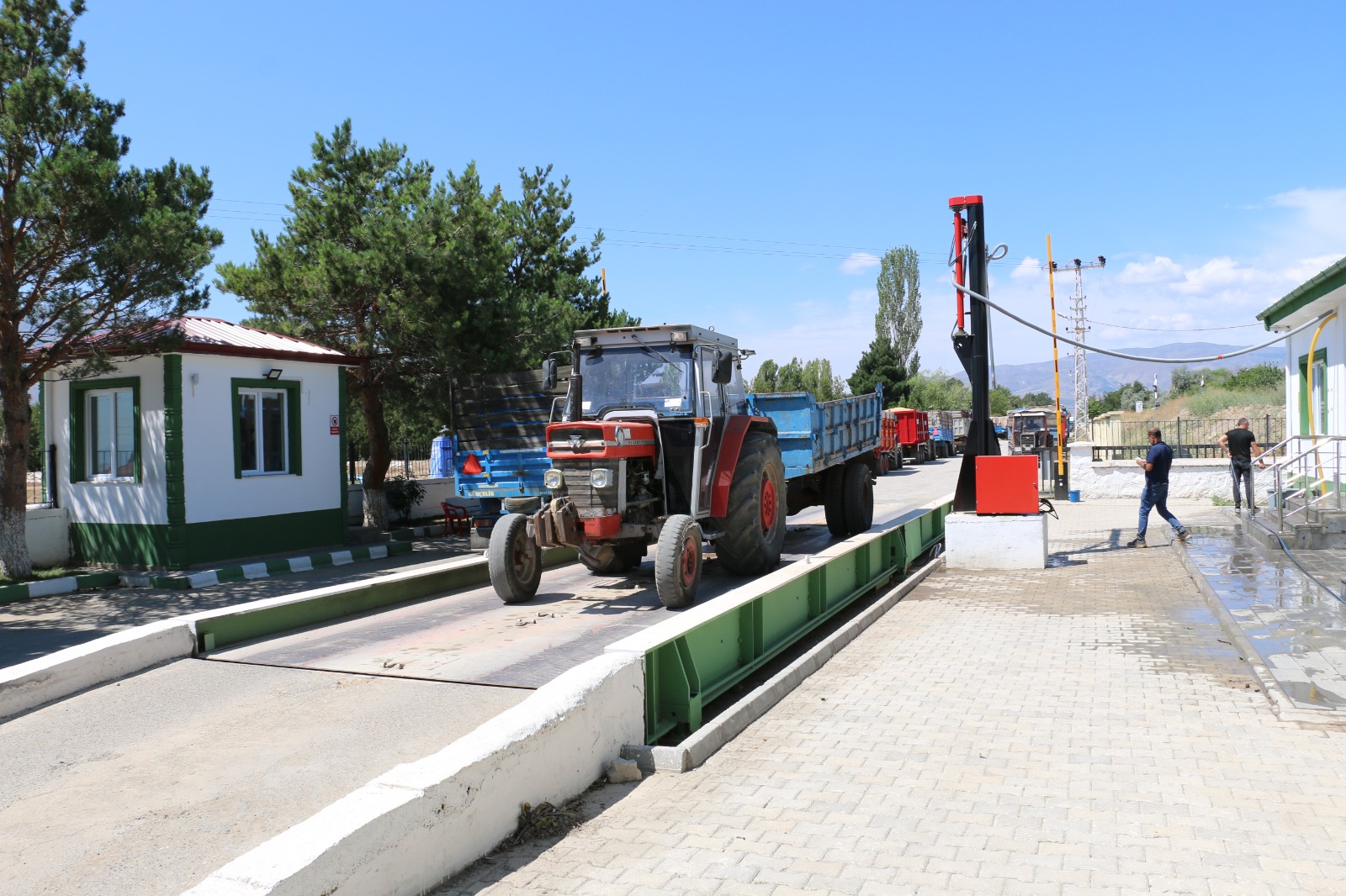 Erzincan TMO buğday alımını sürdürüyor