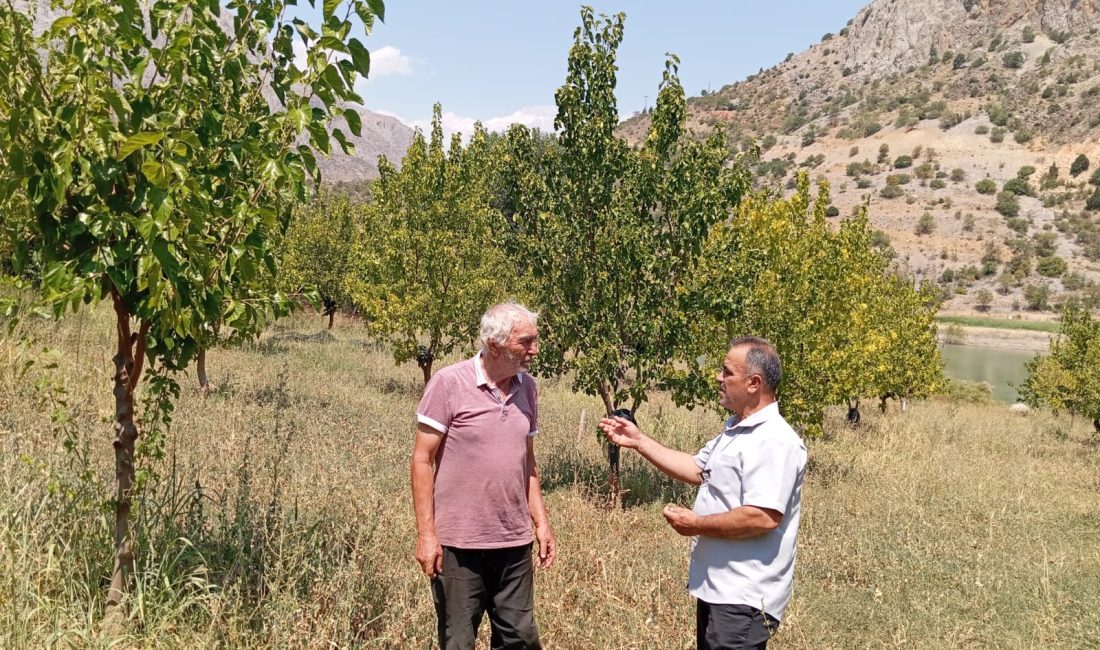 Erzincan’ın Kemaliye ilçesinde yaşayan