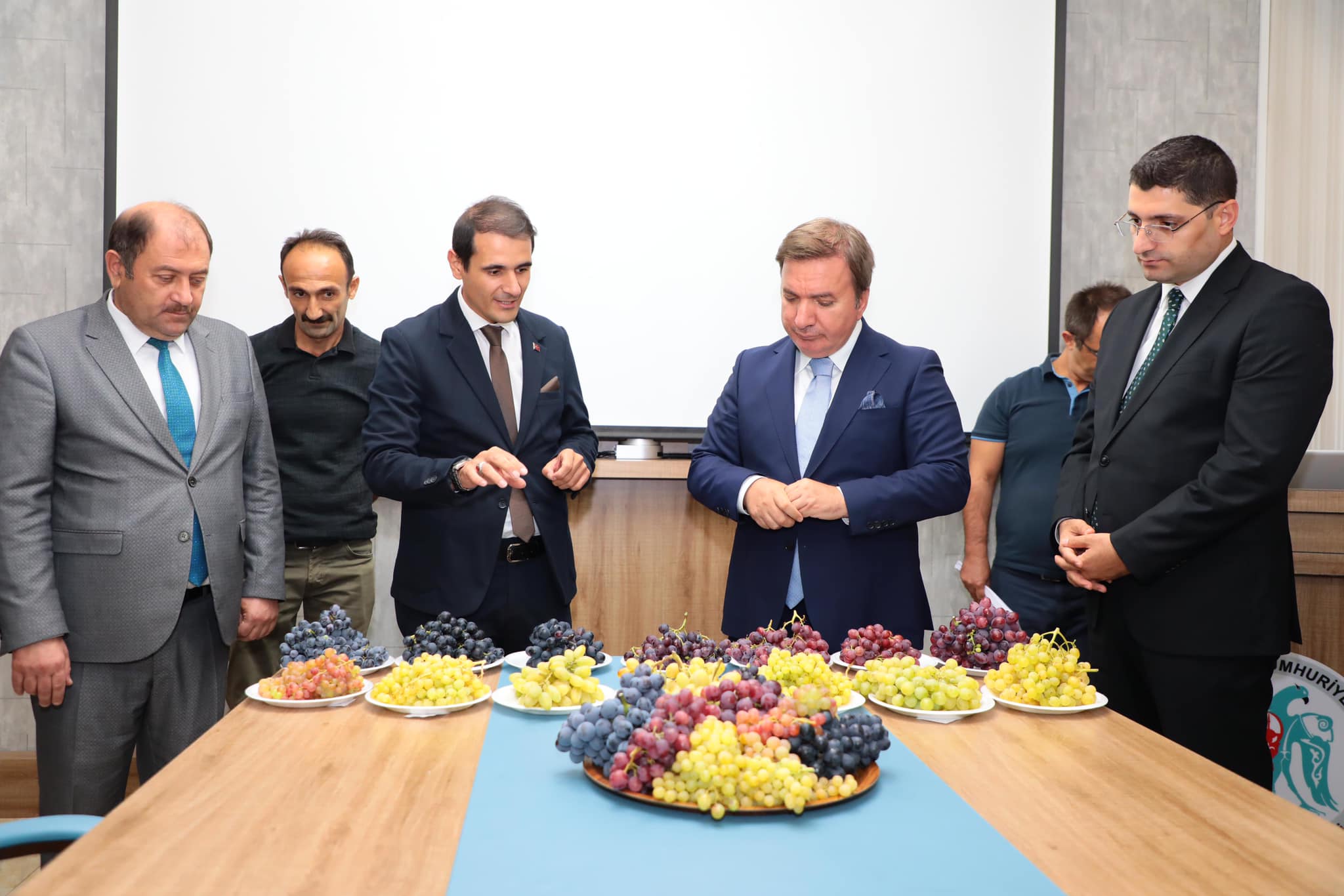 Erzincan’da sofralık yeni üzüm çeşitlerinin yetiştirilmesi çalışmaları devam ediyor