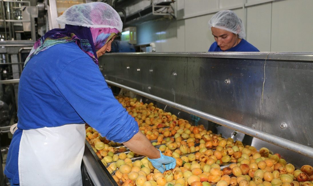 Sanayi, inşaat ve ticaret-hizmet