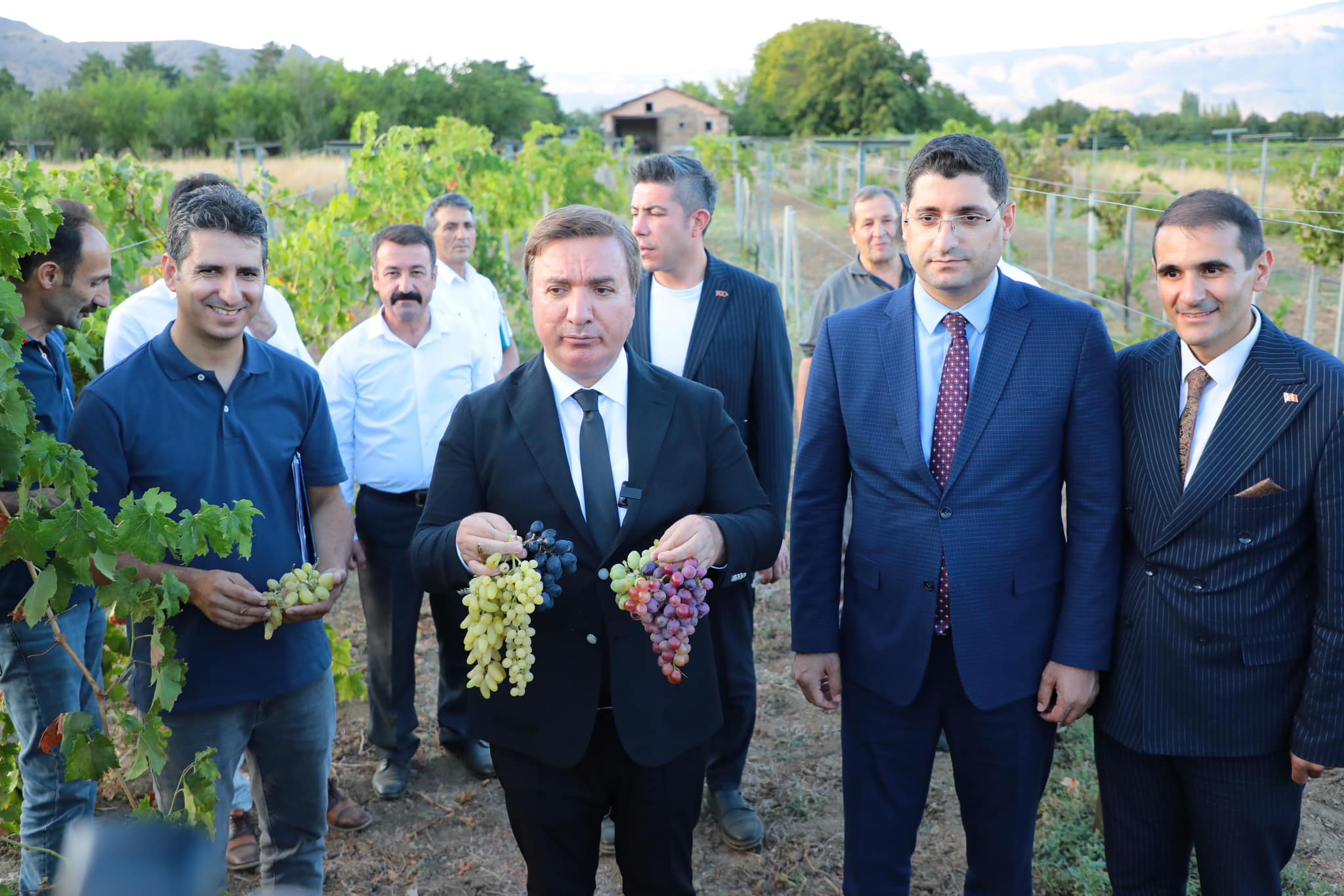 Erzincan, üzüm çeşitliliği ile üzümün başkenti olma yolunda