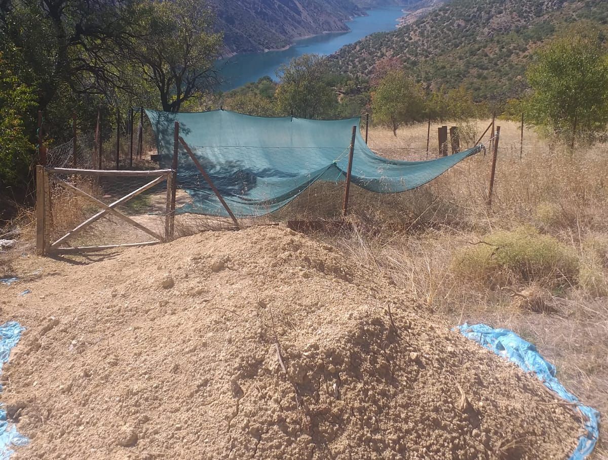 Erzincan’da yeni ürün için demonstrasyon alanı kuruldu