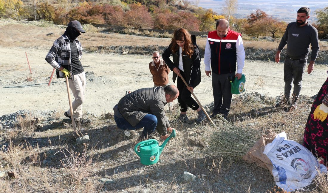 Erzincan’da dağların başında bugünlerde