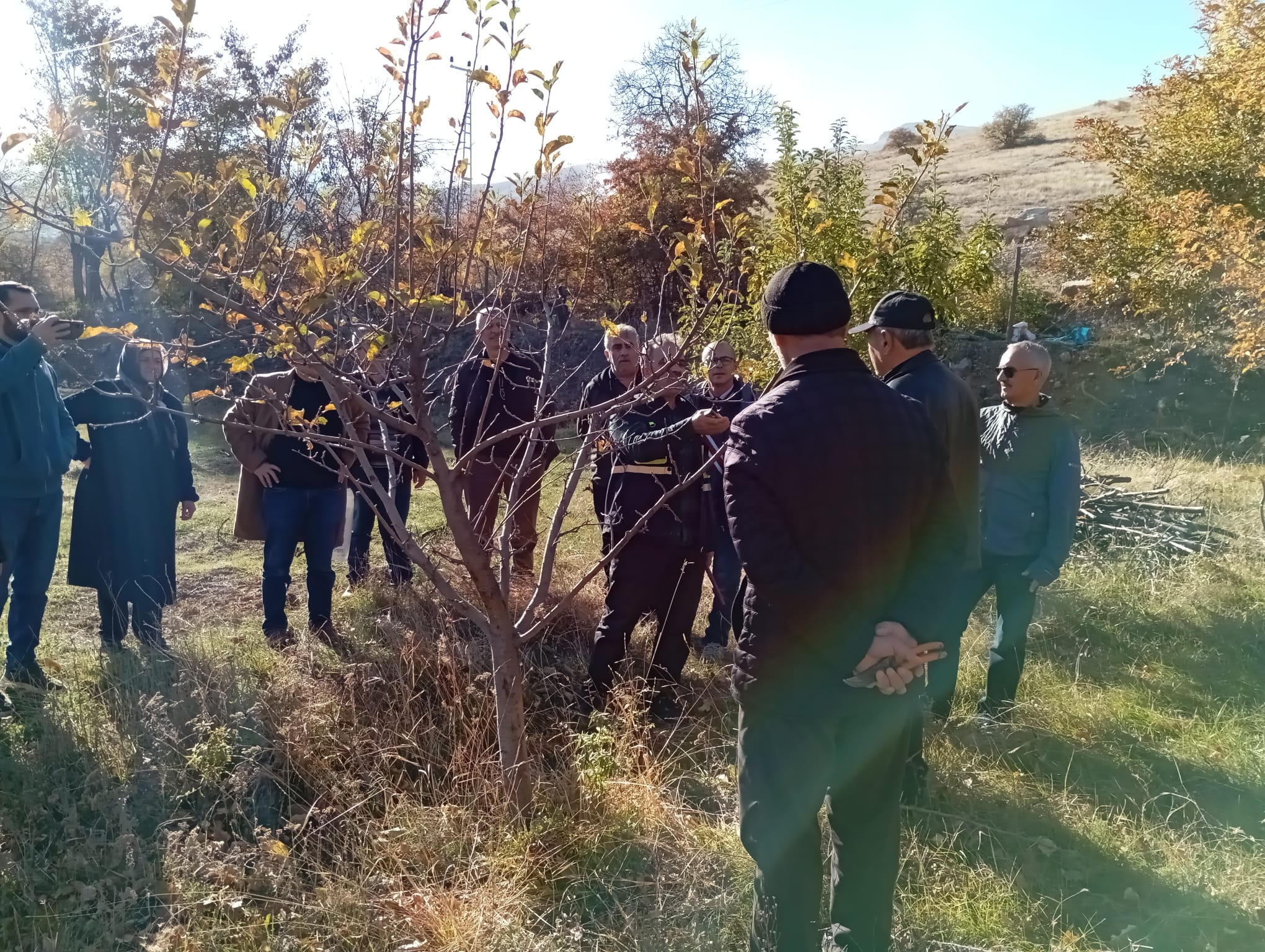 Erzincan’da teorik ve pratik budama eğitimleri başlatıldı