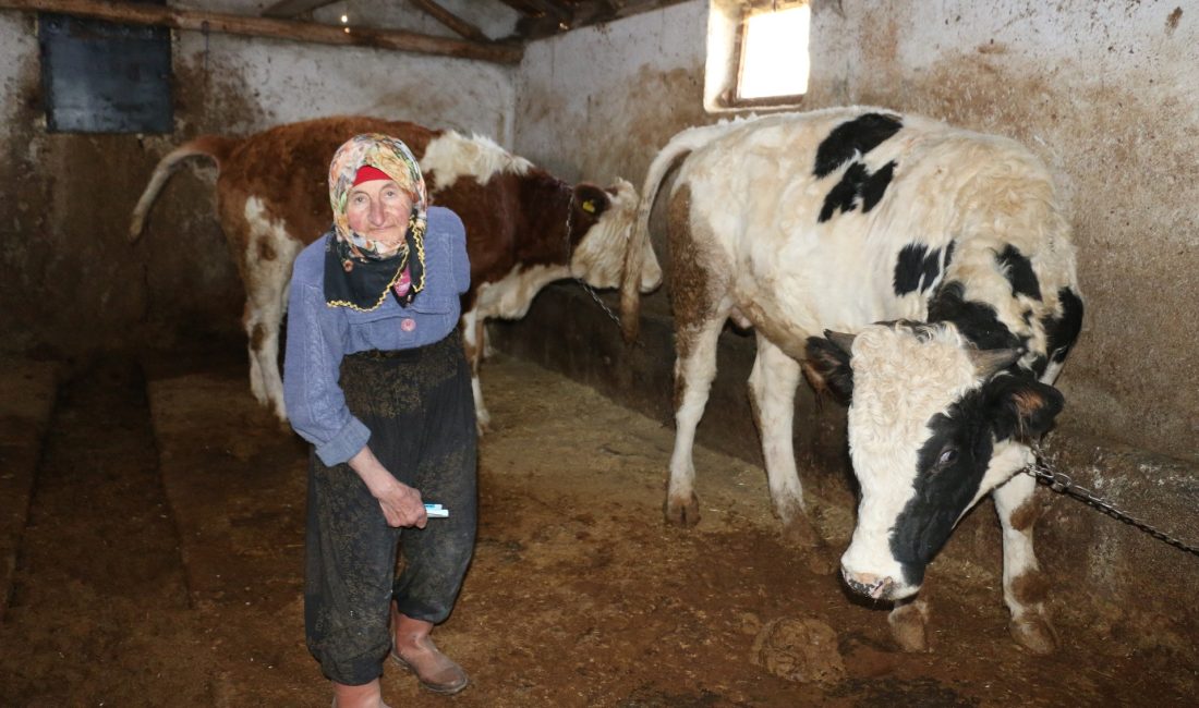 Erzincan’da gün yüzüne çıkan