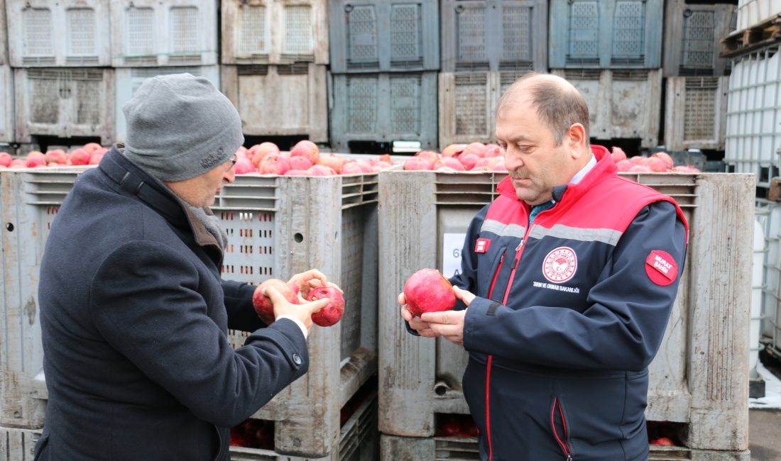 Doğu Anadolu Bölgesi’nde sahip