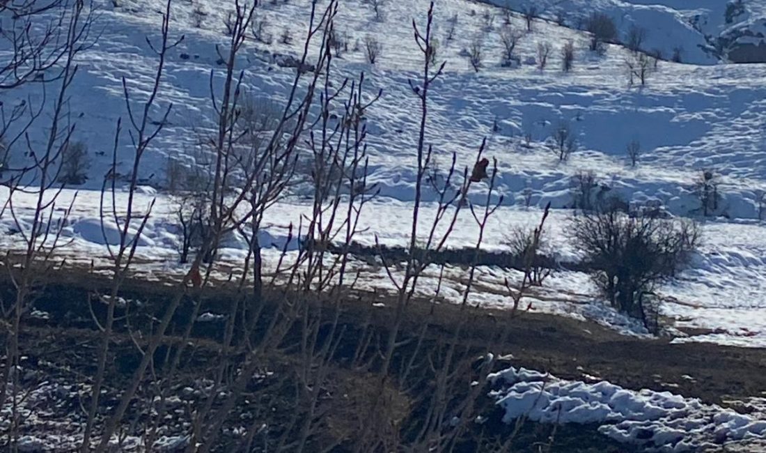 Erzincan’ın Kemah ilçesine bağlı