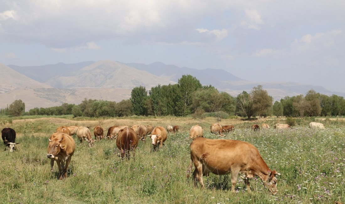 Toprağı, coğrafi şartları ve